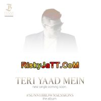 Download Teri Yaad Mein Sunny Brown mp3 song, Teri Yaad Mein Sunny Brown full album download