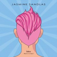Download Zikar Jasmine Sandlas mp3 song, Whats In A Name Jasmine Sandlas full album download