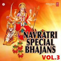 Download Mata Vaishno Ke Aaye Navrate (Malne Banade Ik Sehra Ni) Narendra Chanchal mp3 song, Navratri Special Vol 3 Narendra Chanchal full album download