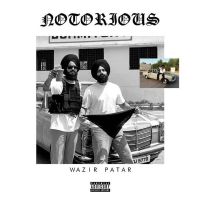 Download Notorious Wazir Patar mp3 song, Notorious Wazir Patar full album download