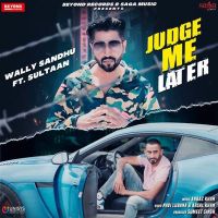 Download Judge Me Later Sultaan, Wally Sandhu mp3 song, Judge Me Later Sultaan, Wally Sandhu full album download