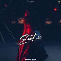 Download Exotic Rangrez Sidhu mp3 song, Exotic Rangrez Sidhu full album download