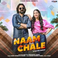 Download Naam Chale Ashu Twinkle mp3 song, Naam Chale Ashu Twinkle full album download