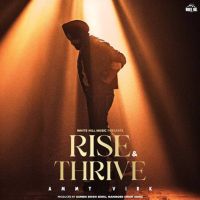 Download Tohar Ammy Virk mp3 song, Rise & Thrive Ammy Virk full album download