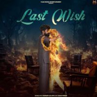 Download Last Wish Gustakh Aulakh mp3 song, Last Wish Gustakh Aulakh full album download