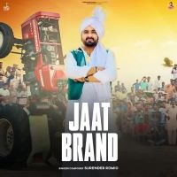 Download Jaat Brand Surender Romio mp3 song, Jaat Brand Surender Romio full album download
