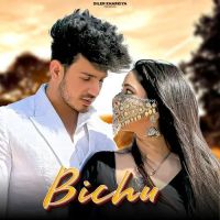 Download Bichu Diler Kharkiya, Shiva Choudhary mp3 song, Cycle Puncture Diler Kharkiya, Shiva Choudhary full album download