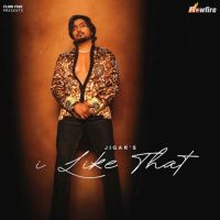 Download I Like That Jigar mp3 song, I Like That Jigar full album download