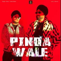 Download Pinda Wale Turban Beats mp3 song, Pinda Wale Turban Beats full album download
