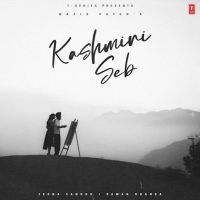 Download Kashmiri Seb Wazir Patar mp3 song, Kashmiri Seb Wazir Patar full album download