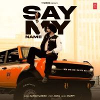 Download Say My Name Satkar Sandhu mp3 song, Say My Name Satkar Sandhu full album download