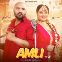 Download Amli Janta Toor mp3 song, Amli Janta Toor full album download