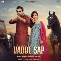 Download Vadde Sap Ekam Bawa mp3 song, Vadde Sap Ekam Bawa full album download