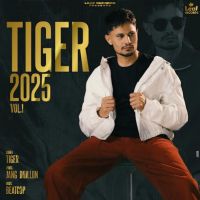 Tiger 2025 Vol. 1 By Tiger full album mp3 free download 