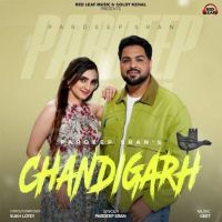 Download Chandigarh Pardeep Sran mp3 song, Chandigarh Pardeep Sran full album download